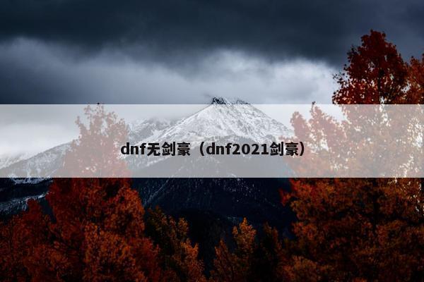 dnf无剑豪（dnf2021剑豪）