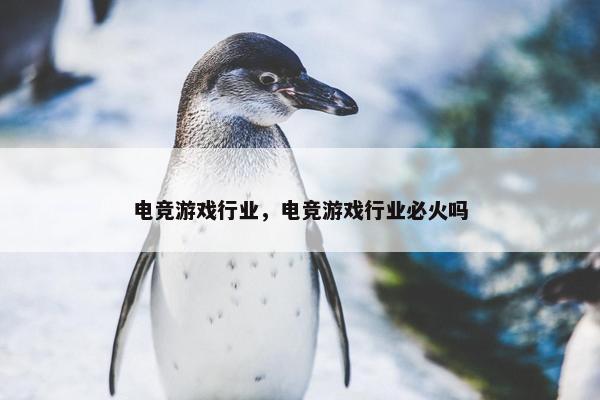 电竞游戏行业，电竞游戏行业必火吗
