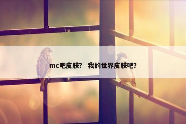 mc吧皮肤？ 我的世界皮肤吧？