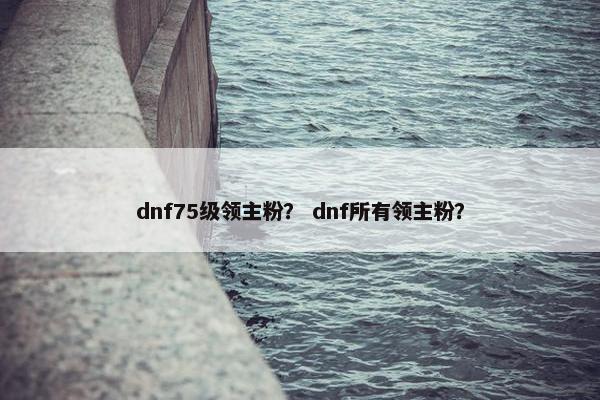 dnf75级领主粉？ dnf所有领主粉？