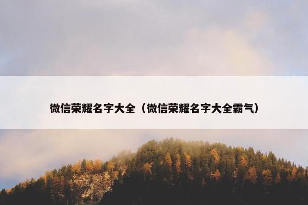微信荣耀名字大全（微信荣耀名字大全霸气）