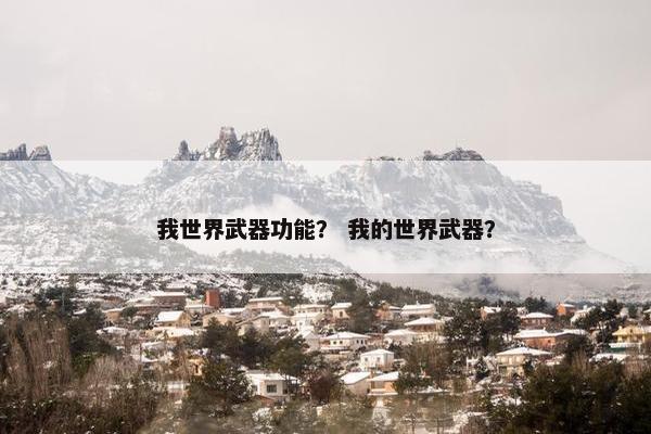 我世界武器功能？ 我的世界武器？