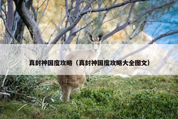 真封神国度攻略（真封神国度攻略大全图文）