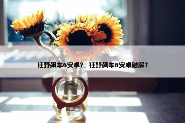 狂野飙车6安卓？ 狂野飙车6安卓破解？