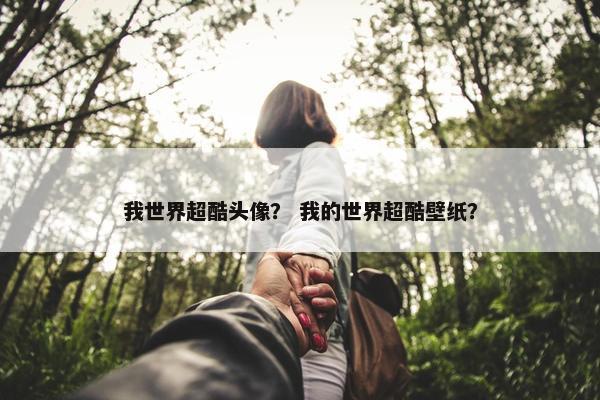 我世界超酷头像？ 我的世界超酷壁纸？