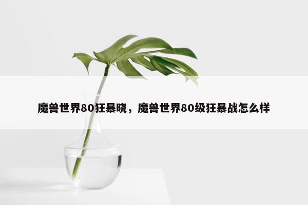 魔兽世界80狂暴晓，魔兽世界80级狂暴战怎么样
