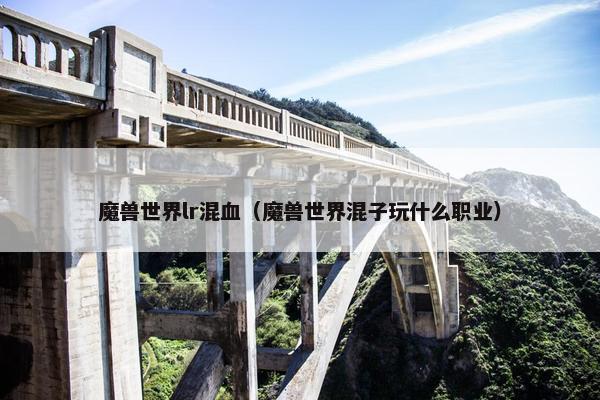 魔兽世界lr混血（魔兽世界混子玩什么职业）