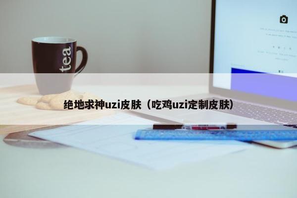 绝地求神uzi皮肤（吃鸡uzi定制皮肤）