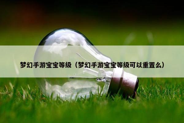 梦幻手游宝宝等级（梦幻手游宝宝等级可以重置么）