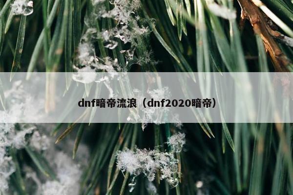 dnf暗帝流浪（dnf2020暗帝）