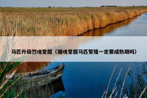 马匹升级烈魂觉醒（猎魂觉醒马匹繁殖一定要成熟期吗）