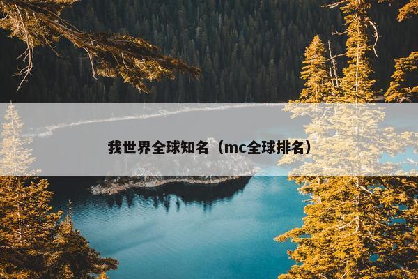 我世界全球知名（mc全球排名）