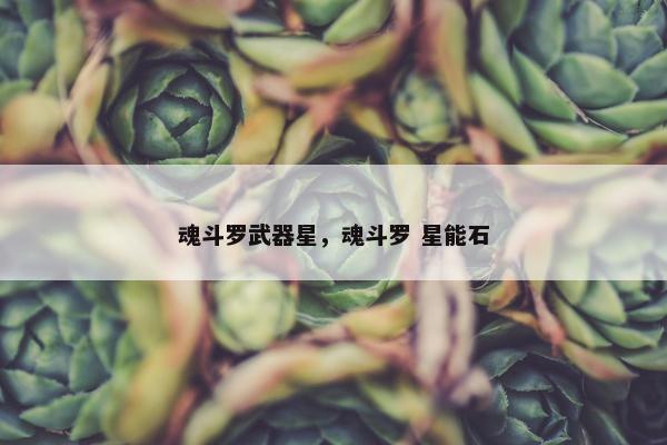 魂斗罗武器星，魂斗罗 星能石