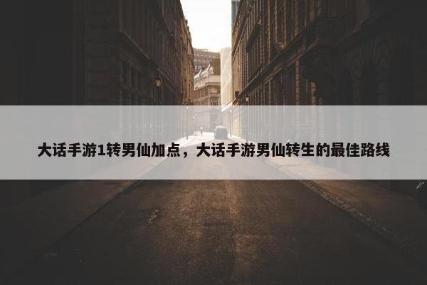 大话手游1转男仙加点，大话手游男仙转生的最佳路线