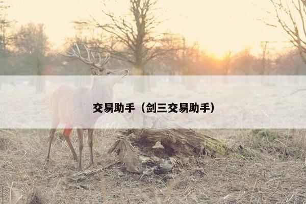 交易助手（剑三交易助手）