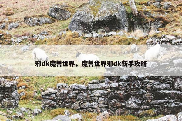 邪dk魔兽世界，魔兽世界邪dk新手攻略