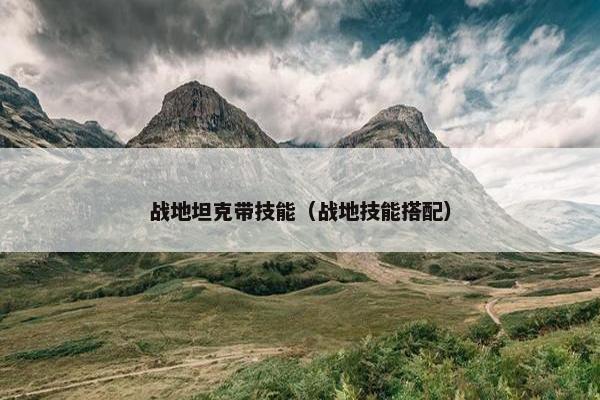 战地坦克带技能（战地技能搭配）