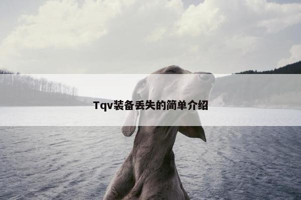 Tqv装备丢失的简单介绍