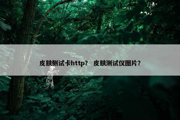 皮肤侧试卡http？ 皮肤测试仪图片？