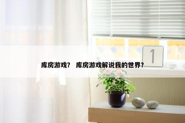 库房游戏？ 库房游戏解说我的世界？