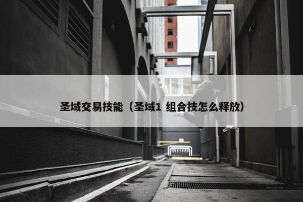 圣域交易技能（圣域1 组合技怎么释放）