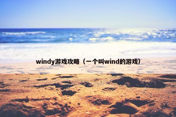 windy游戏攻略（一个叫wind的游戏）