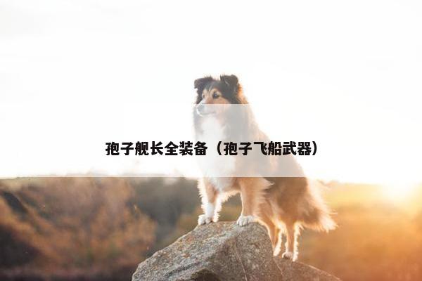 孢子舰长全装备（孢子飞船武器）