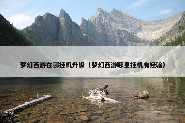 梦幻西游在哪挂机升级（梦幻西游哪里挂机有经验）