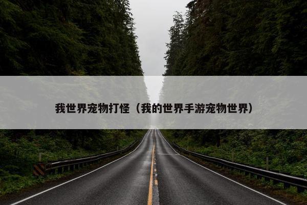 我世界宠物打怪（我的世界手游宠物世界）