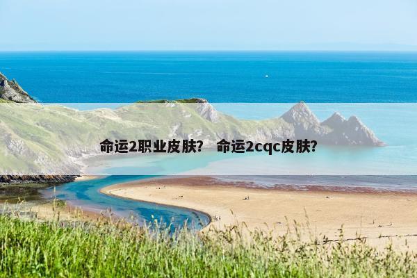 命运2职业皮肤？ 命运2cqc皮肤？