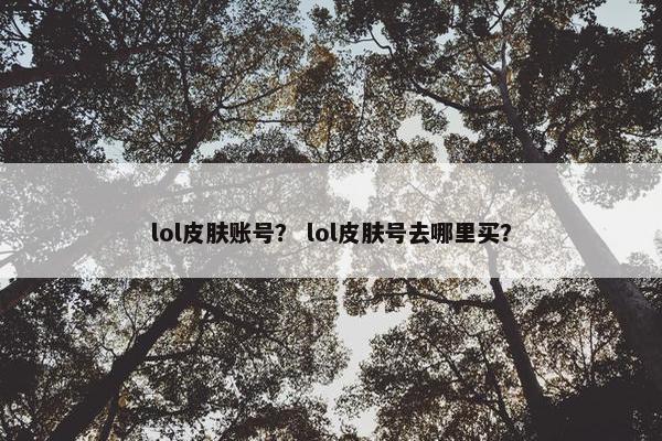 lol皮肤账号？ lol皮肤号去哪里买？