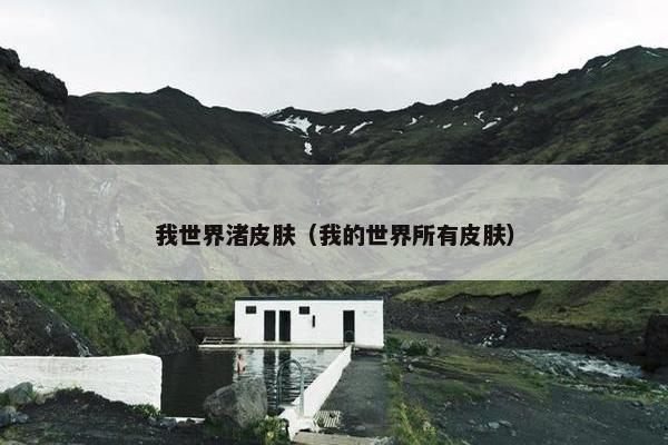 我世界渚皮肤（我的世界所有皮肤）