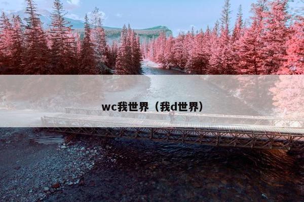 wc我世界（我d世界）