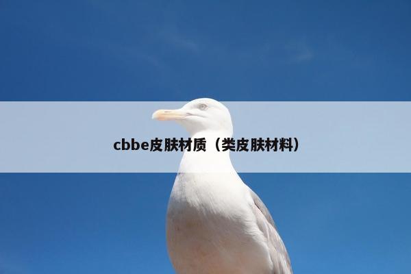 cbbe皮肤材质（类皮肤材料）
