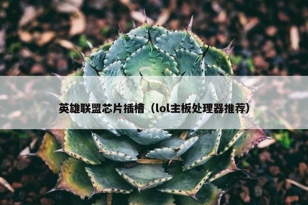 英雄联盟芯片插槽（lol主板处理器推荐）