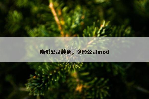 隐形公司装备，隐形公司mod