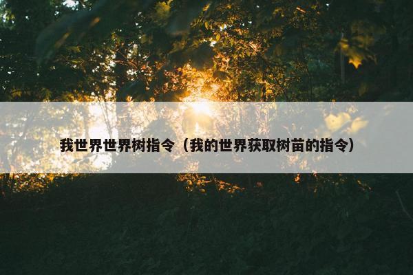 我世界世界树指令（我的世界获取树苗的指令）