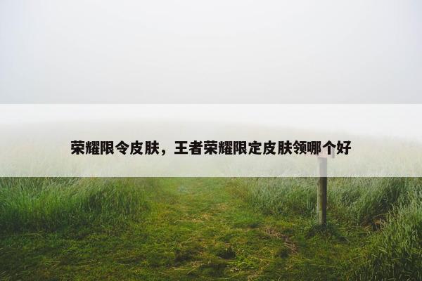 荣耀限令皮肤，王者荣耀限定皮肤领哪个好