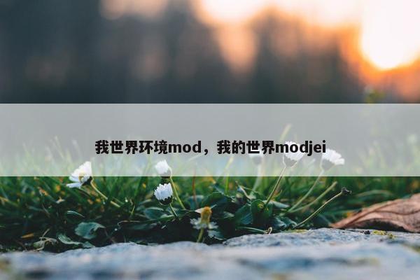 我世界环境mod，我的世界modjei