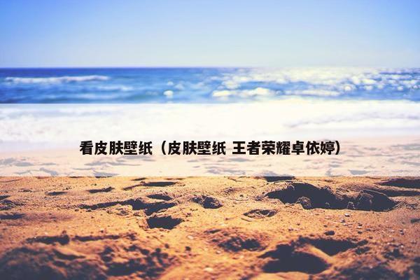 看皮肤壁纸（皮肤壁纸 王者荣耀卓依婷）